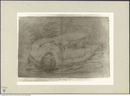 Vorderseite von bh225502_recto