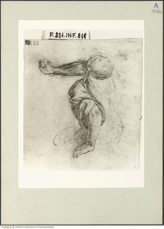 Vorderseite von bh225508_recto