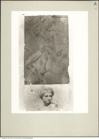 Vorderseite von bh225510_recto