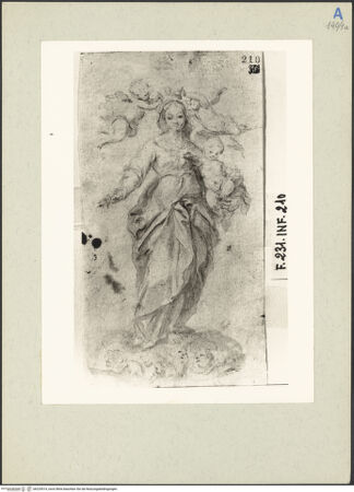 Vorderseite von bh225514_recto