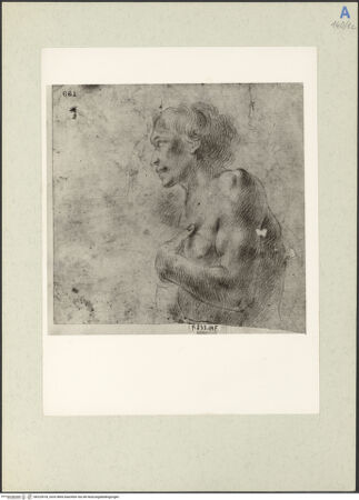 Vorderseite von bh225518_recto