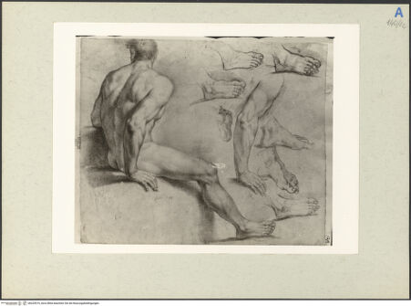 Vorderseite von bh225519_recto