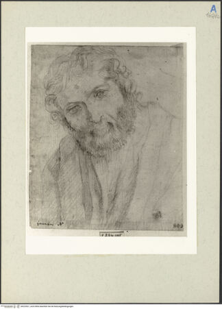 Vorderseite von bh225521_recto