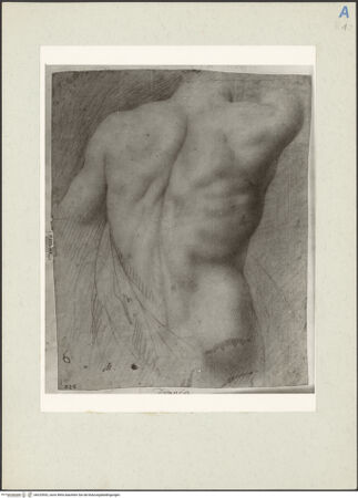 Vorderseite von bh225552_recto