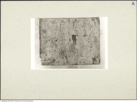 Vorderseite von bh225554_recto