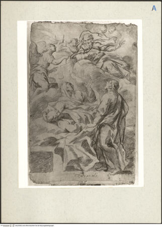 Vorderseite von bh225558_recto