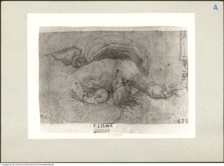 Vorderseite von bh225559_recto