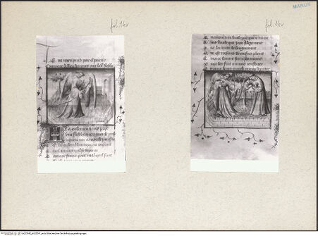 Vorderseite von bh225580_bh225581_recto