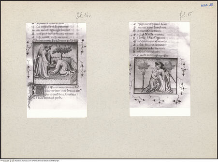 Vorderseite von bh225582_bh225583_recto