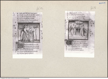 Vorderseite von bh225584_bh225585_recto