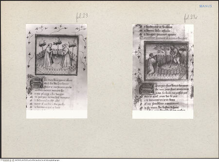 Vorderseite von bh225592_bh225593_recto