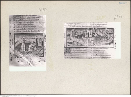 Vorderseite von bh225605_bh225606_recto