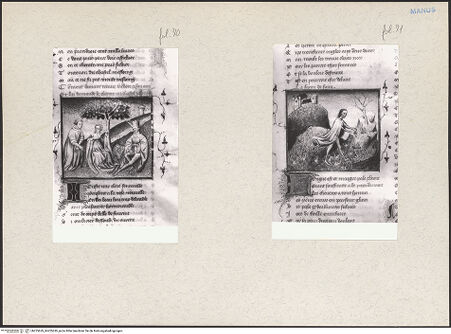 Vorderseite von bh225629_bh225630_recto