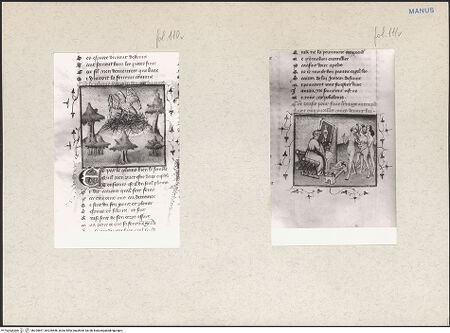 Vorderseite von bh225657_bh225658_recto