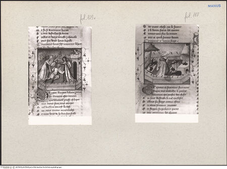 Vorderseite von bh225659_bh225660_recto