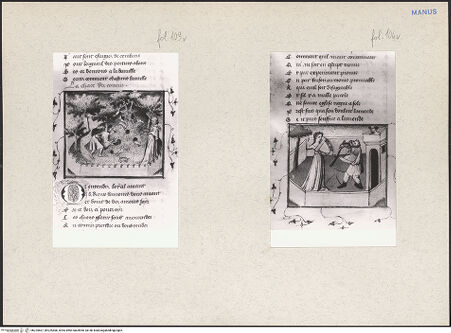 Vorderseite von bh225667_bh225668_recto