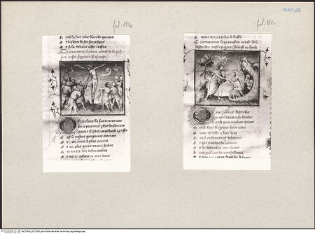 Vorderseite von bh225689_bh225690_recto