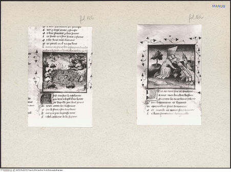 Vorderseite von bh225709_bh225710_recto