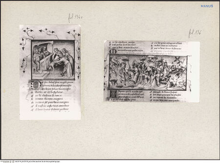 Vorderseite von bh225719_bh225720_recto