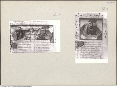 Vorderseite von bh225735_bh225736_recto