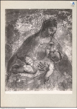 Vorderseite von bh225784_recto