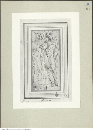 Vorderseite von bh225864_recto