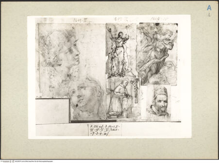 Vorderseite von bh225874_recto