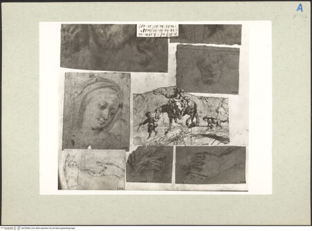 Vorderseite von bh225896_recto