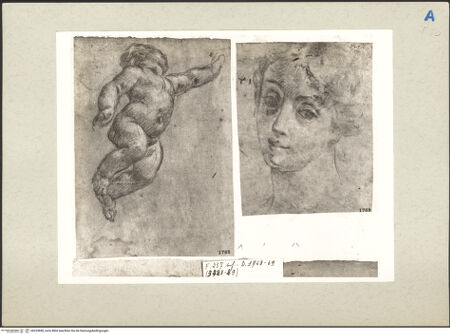 Vorderseite von bh225898_recto