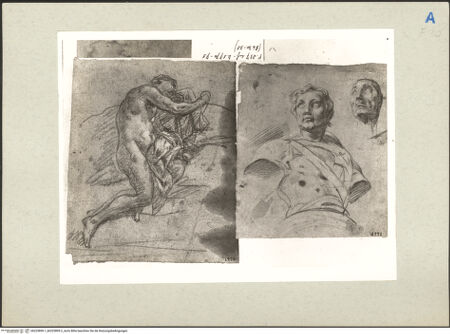 Vorderseite von bh225899-1_bh225899-2_recto