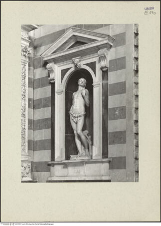 Vorderseite von bh225907_recto