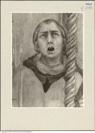 Vorderseite von bh226172_recto