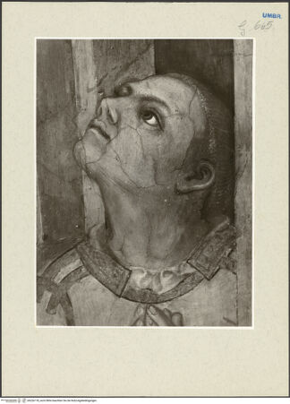 Vorderseite von bh226178_recto