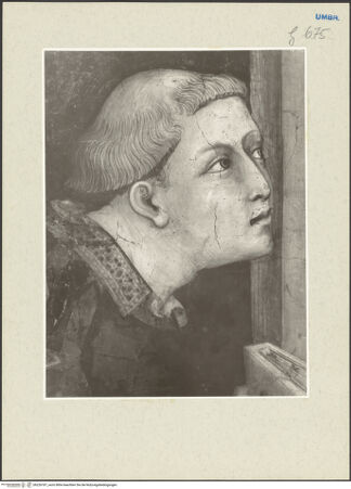 Vorderseite von bh226187_recto