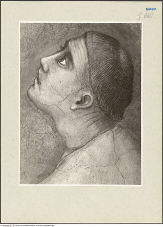 Vorderseite von bh226194_recto