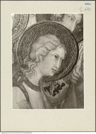 Vorderseite von bh226203_recto