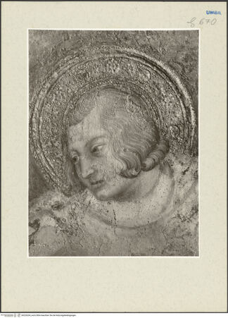 Vorderseite von bh226204_recto