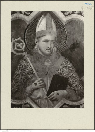 Vorderseite von bh226236_recto