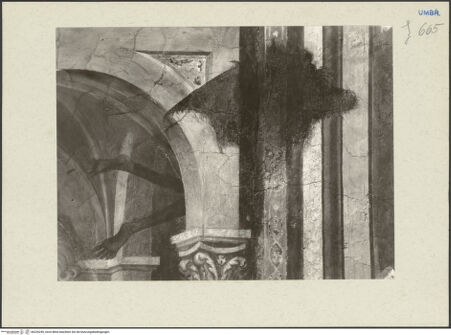 Vorderseite von bh226249_recto