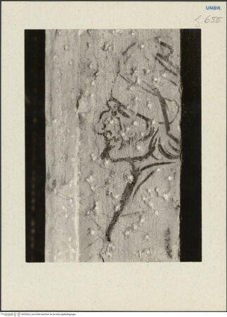 Vorderseite von bh226252_recto