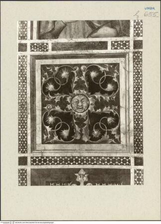 Vorderseite von bh226256_recto