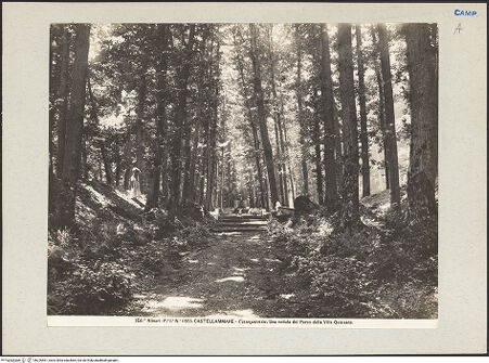 Vorderseite von Alinari [https://www.deutsche-digitale-bibliothek.de/content/lizenzen/rv-ez/] Villa Quisisana - Ansicht, bh226561_recto. Foto.