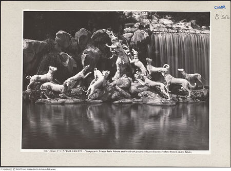 Vorderseite von Alinari [https://www.deutsche-digitale-bibliothek.de/content/lizenzen/rv-ez/] Fontana di Diana e Atteone (Brunnen der Diana und Aktäon)Gruppe links: Aktäon wird nach der Verwandlung von seinen Hunden angefallen - Gesamtansicht, bh226575_recto. Foto.