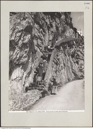 Vorderseite von Alinari [https://www.deutsche-digitale-bibliothek.de/content/lizenzen/rv-ez/] Alte Treppe, bh226648_recto. Foto.