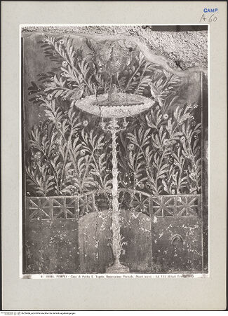 Vorderseite von Alinari [https://www.deutsche-digitale-bibliothek.de/content/lizenzen/rv-ez/] Wanddekoration - Detail, bh226684_recto. Foto.