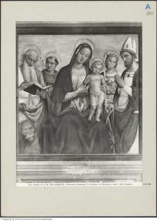 Vorderseite von bh226732_recto