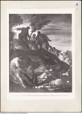 Vorderseite von bh227077_recto