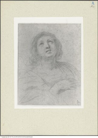 Vorderseite von bh227156_recto