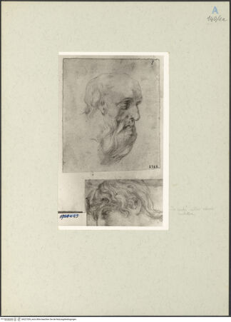 Vorderseite von bh227209_recto