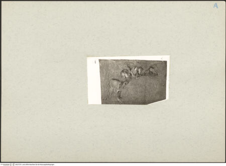 Vorderseite von bh227231_recto